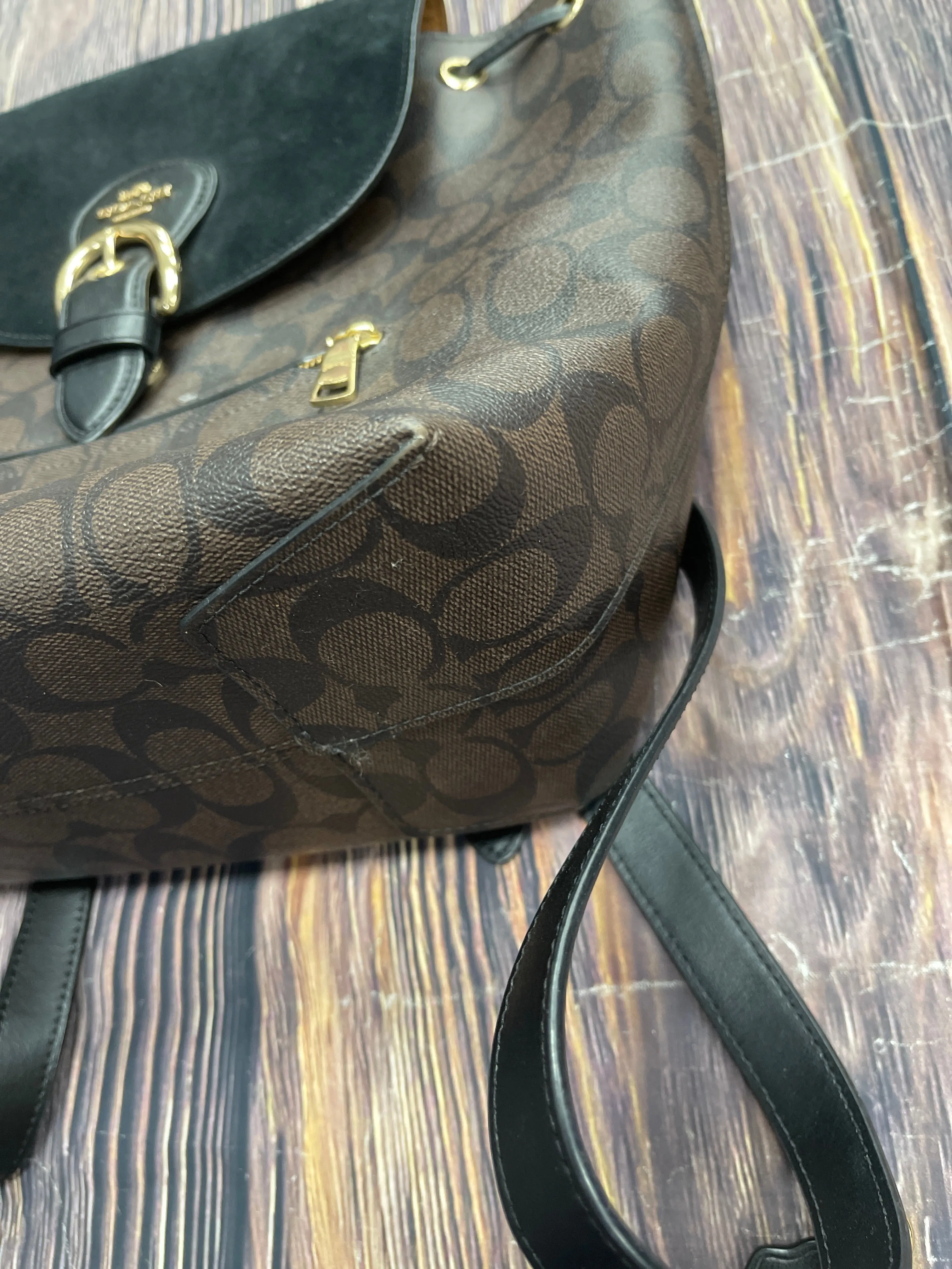 Backpack Designer By Coach  Size: Medium