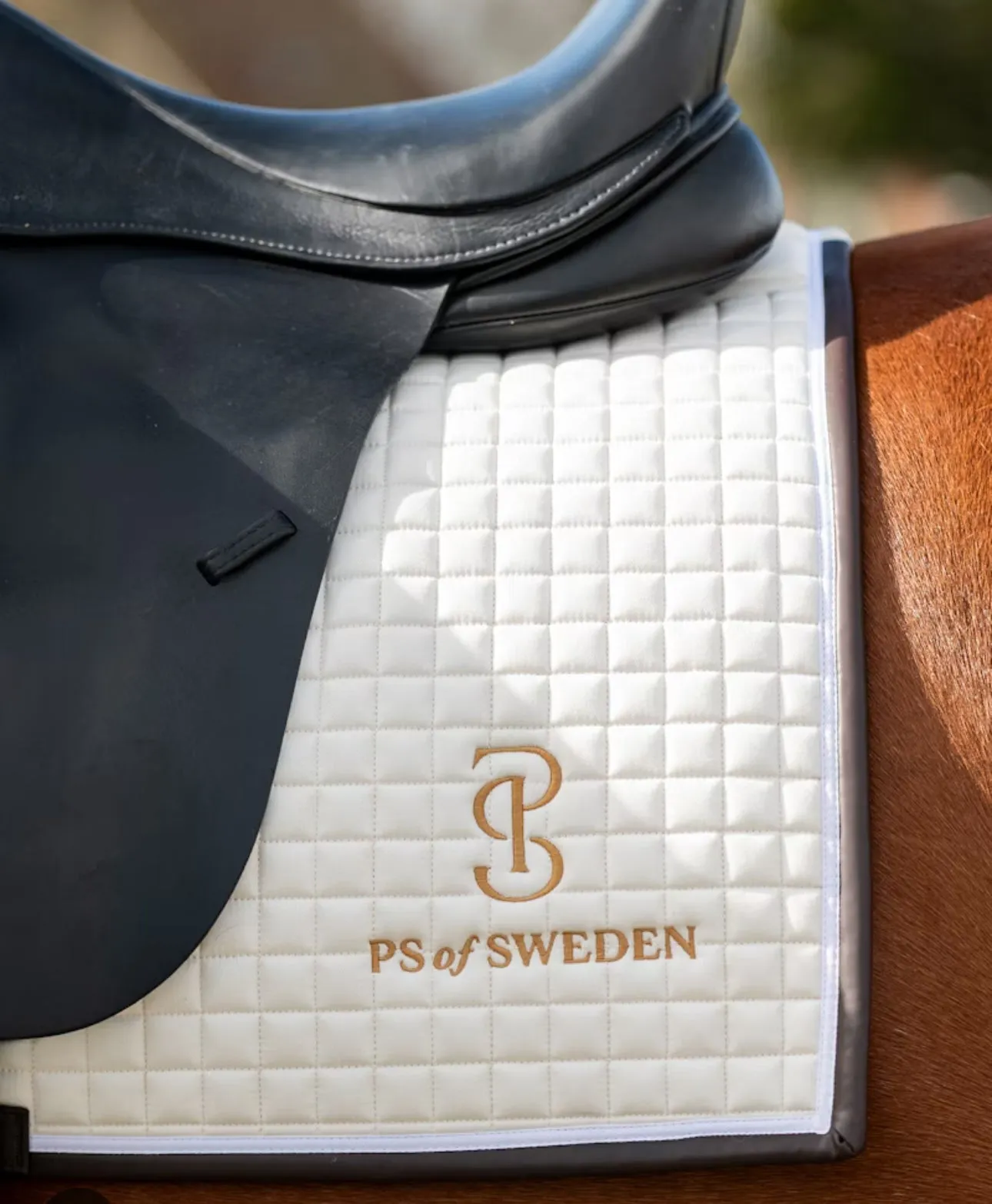 PS of Sweden Saddle Pad Dressage Elite Edge
